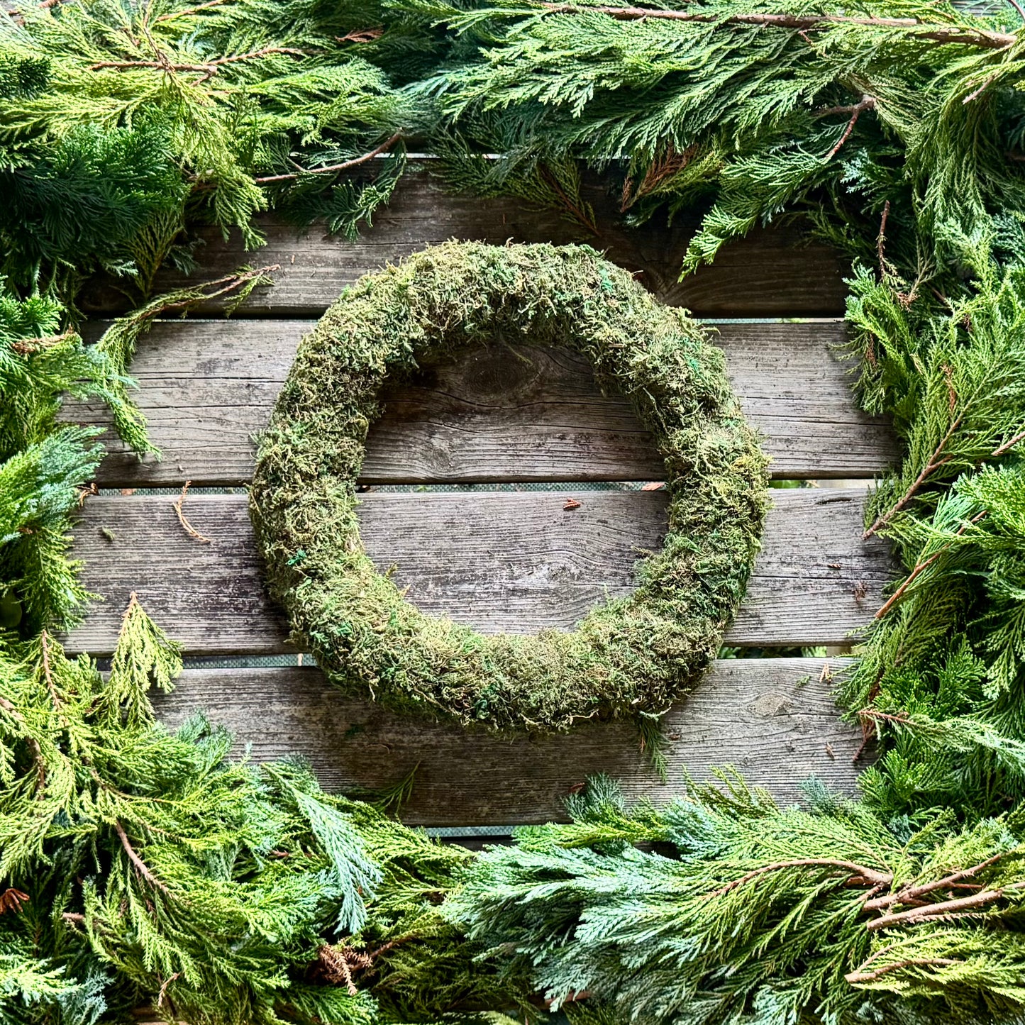 The Burton Wreath Kit – Fresh DIY Christmas Wreath (Optional Moss Upgrade)
